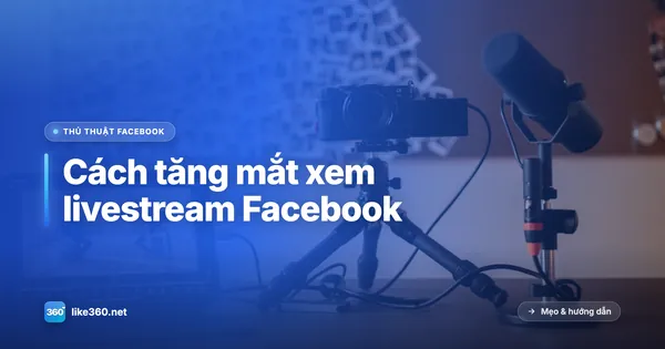 Bộ thiết bị quay livestream với máy ảnh và micro trên bàn
