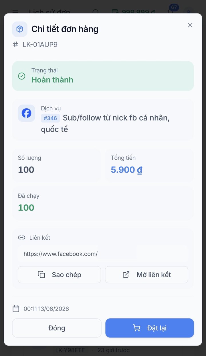 Chi tiết đơn hàng: trạng thái, số đã chạy, liên kết, đặt lại
